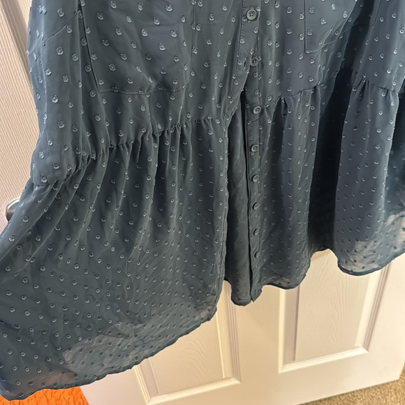 Torrid Size 4 Sheer W/ Dots & Peplum Blouse - Picture 5 of 7